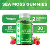 Irish Sea Moss Gummies with Bladderwrack and Burdock Root Flyobi