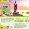Bio Vitalica Sea Moss and Elderberry Gummies Flyobi