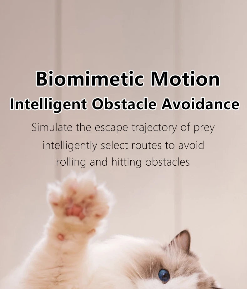 Automatic Rolling Interactive Cat Ball Flyobi
