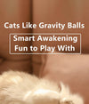 Automatic Rolling Interactive Cat Ball Flyobi
