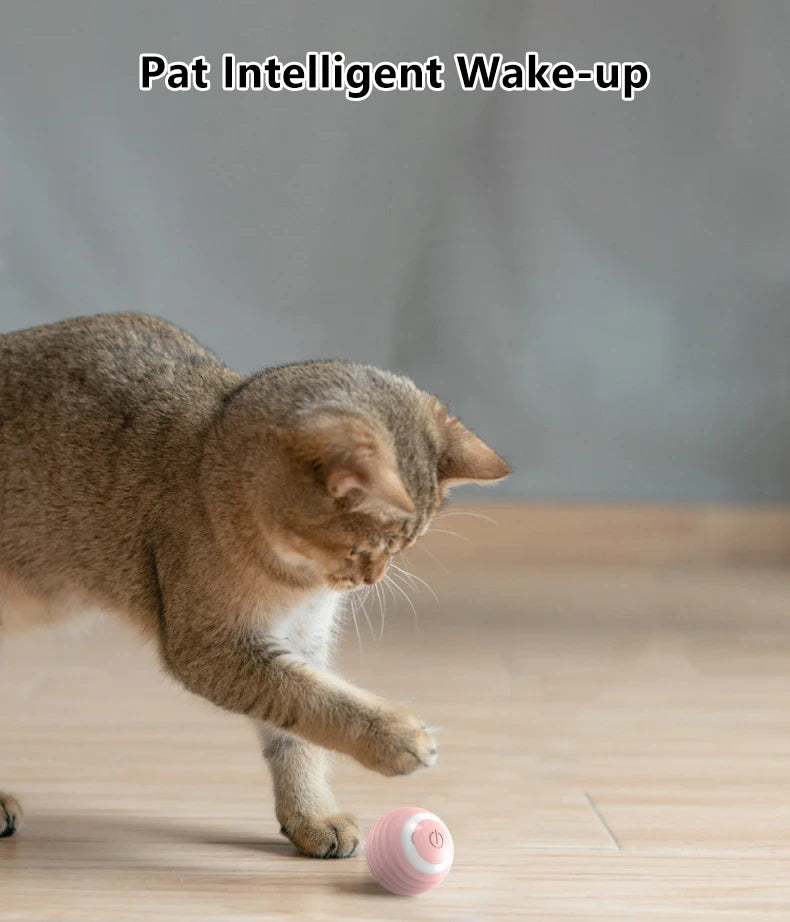 Automatic Rolling Interactive Cat Ball Flyobi