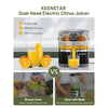 Portable Stainless Steel Electric Citrus Juicer Flyobi