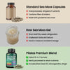 Sea Moss Ginger Capsules Flyobi