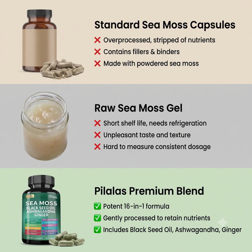 Sea Moss Ginger Capsules Flyobi