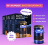 Suction Mosquito Killer Lamp Flyobi